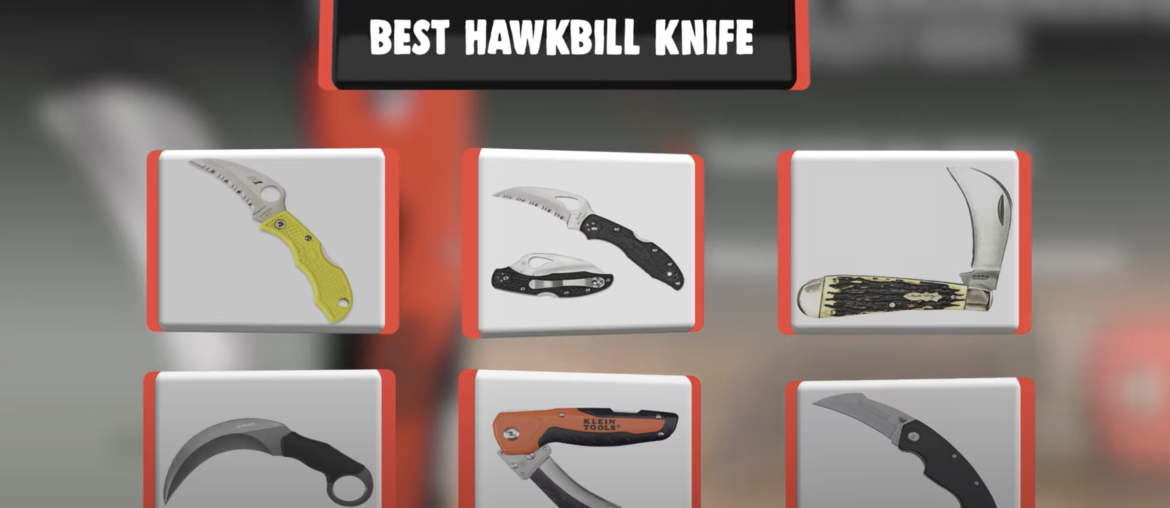 Best Hawkbill Knife